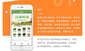 順風(fēng)車 千騎定制開發(fā)商城 餐飲 婚慶 電商