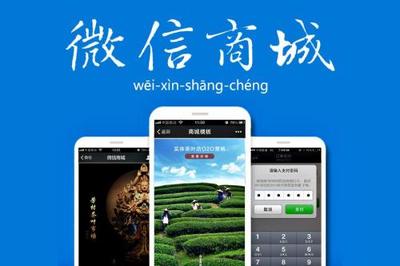 購物商城返積分系統營銷模式的定制開發