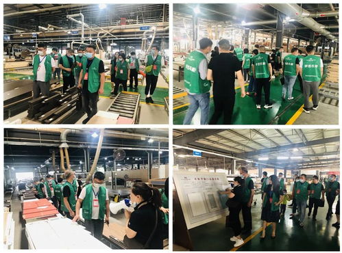 年中盛典，智造未來 619超級工廠購暨財富品鑒會圓滿落幕，揭秘購物商城定制新篇章